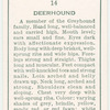Deerhound.