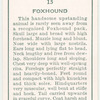 Foxhound.