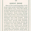 Great Dane.