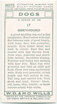 Greyhound.