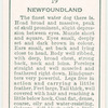 Newfoundland.