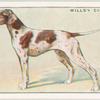 Pointer.