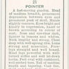 Pointer.