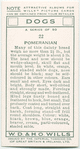 Pomeranian.