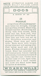 Poodle.