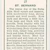 St. Bernard.