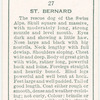 St. Bernard.