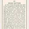 Irish Setter.