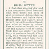 Irish Setter.