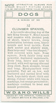 Clumber Spaniel.