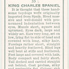 King Charles Spaniel.