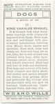 King Charles Spaniel.