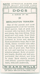 Bedlington Terrier.