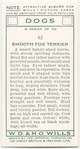 Smooth Fox Terrier.