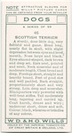 Scottish Terrier.