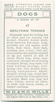 Sealyham Terrier.