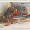 Bloodhound