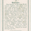 Borzois