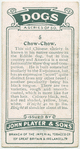 Chow-Chow