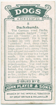 Dachshunds