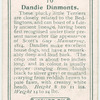 Dandie Dinmonts