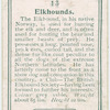Elkhounds