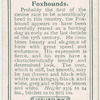 Foxhounds