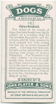 Greyhound