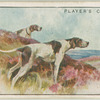 Pointers