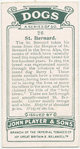 St. Bernard