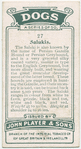 Salukis