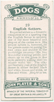 English Setters