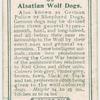 Alsatian Wolf Dogs
