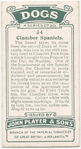 Clumber Spaniels