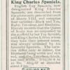 King Charles Spaniels