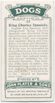 King Charles Spaniels