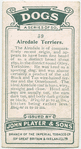 Airedale Terriers