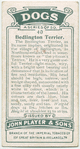 Bedlington Terrier
