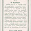 Whippets