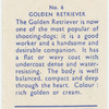 Golden Retriever.