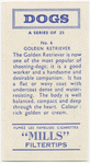 Golden Retriever.