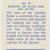 Gordon or Black and Tan Setter.
