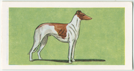 Index
