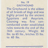 Greyhound.