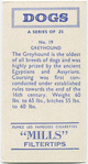 Greyhound.