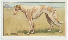 Index