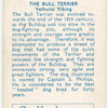 The Bull Terrier.