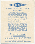 The Alsatian.