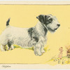 The Sealyham Terrier.
