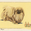 The Pekingese.